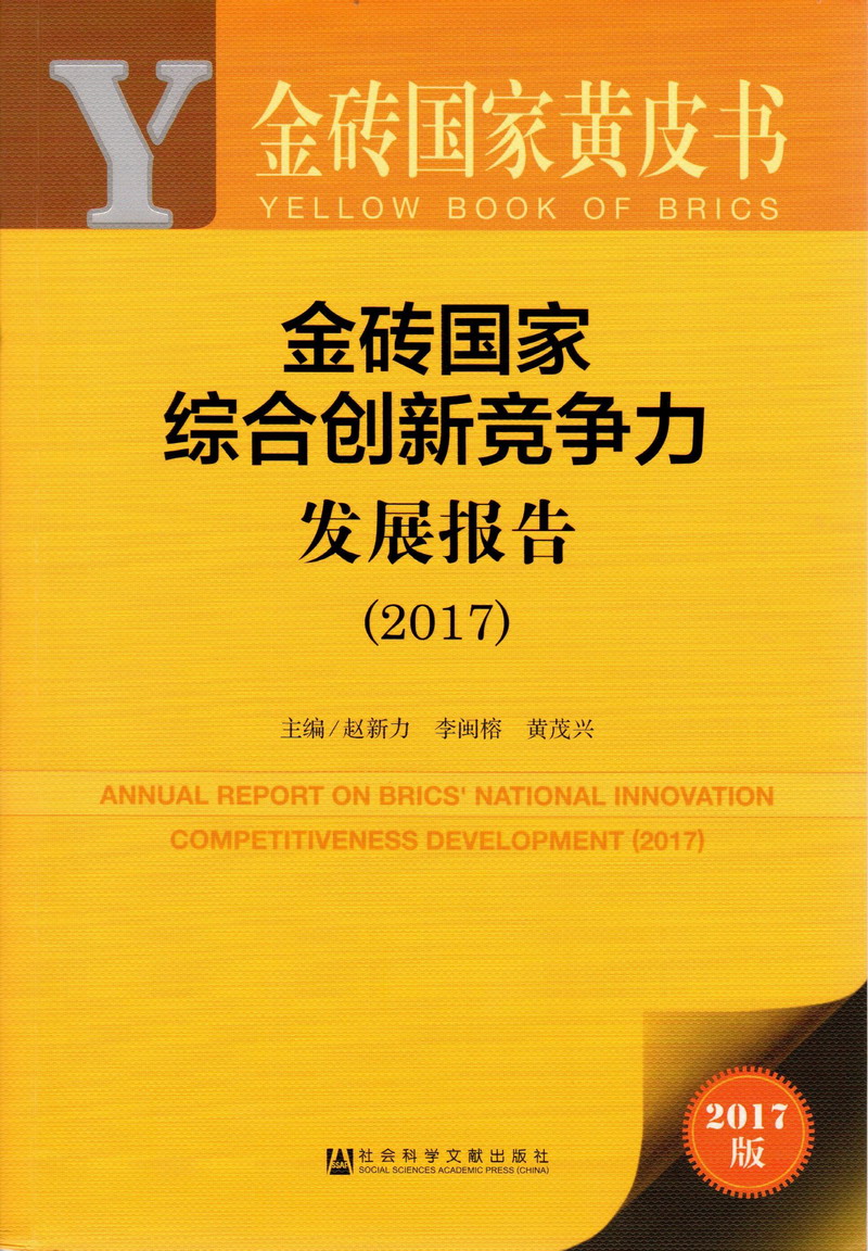 操穴在线观看金砖国家综合创新竞争力发展报告（2017）